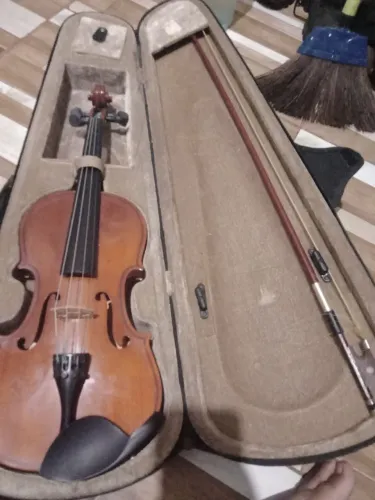 Violino