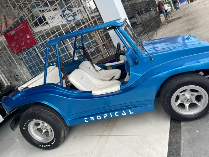Volkswagen Buggy 1.6 8V Gasolina 2P Manual 1974