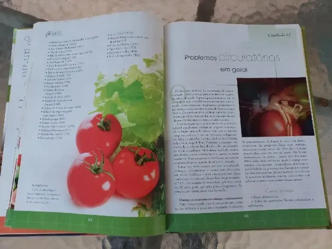 Livro "O SABOR DA SAÚDE" - O ALIMENTO CERTO PARA VOCÊ VIVER BEM
