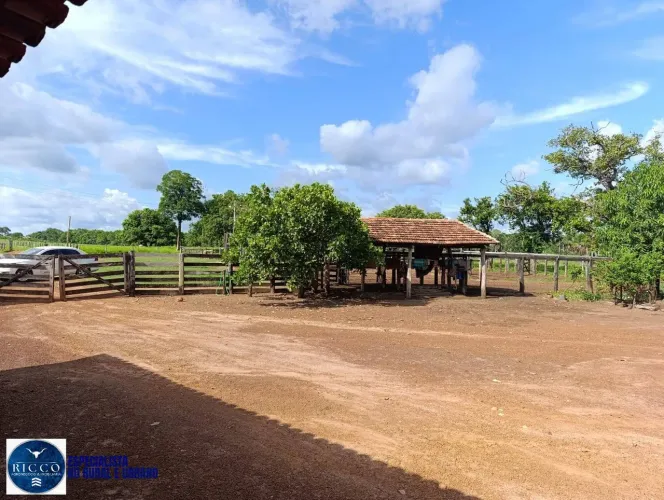 Fazenda à Venda em Araguaçu TO | 122 Alqueires | Aptidão para Lavoura