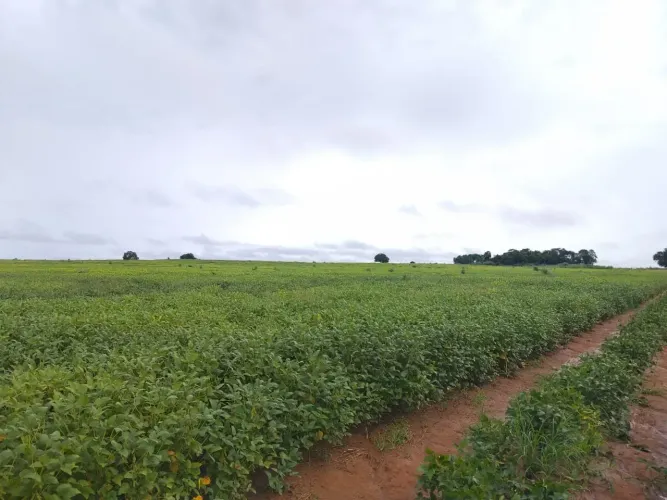 Fazenda a venda, Montes Claro de Goiás!!!