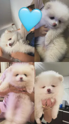 Lulu