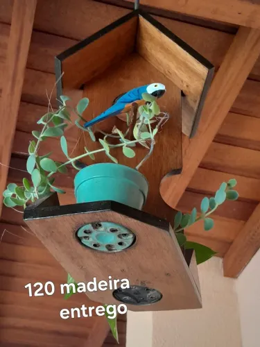 Decoração de casa.