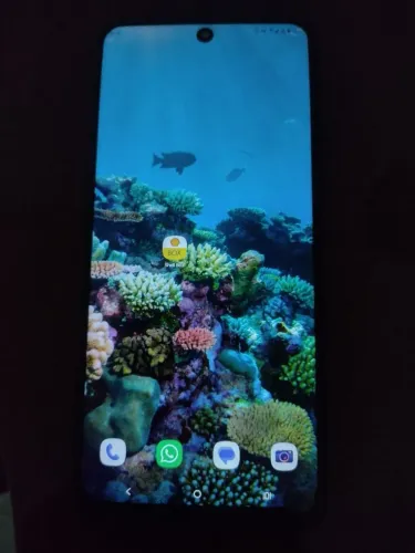 Smartphone Moto G15 Excelente estado!! Bateria Ótima!