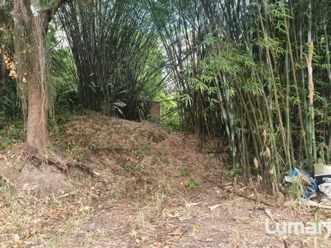 Excelente Terreno de Frente para a Rua com 615m² - Ideal para Projeto Moderno com Vista Pa