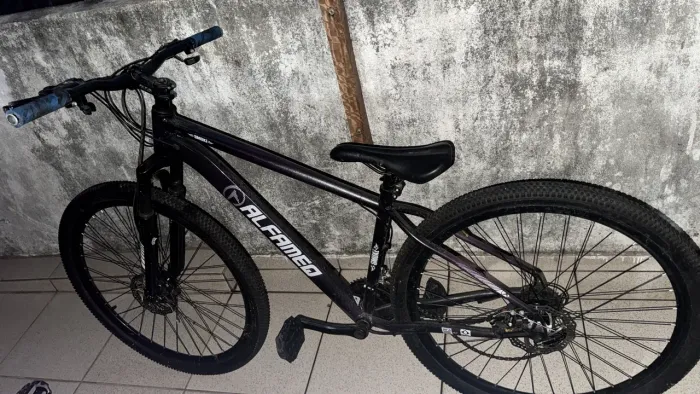 Bicicleta aro 29 alfamec