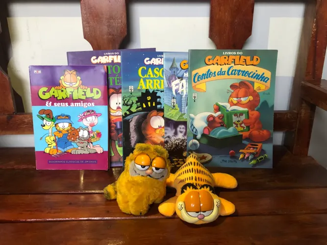 Lote Garfield