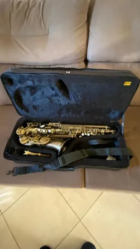 Saxofone Alto Michael WASM46 Envelhecido
