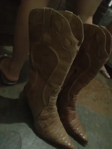 Bota