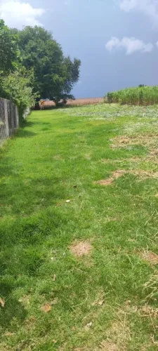 Terreno à venda, 1000 m² por R$ 160.000,00 - Cuca Fresca - Iguaraçu/PR