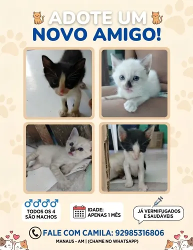 Para doação 