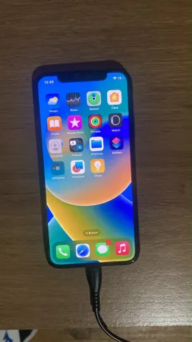 iPhone X