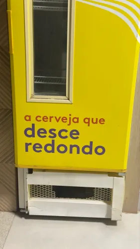 Cervejeira Skol 230 litros