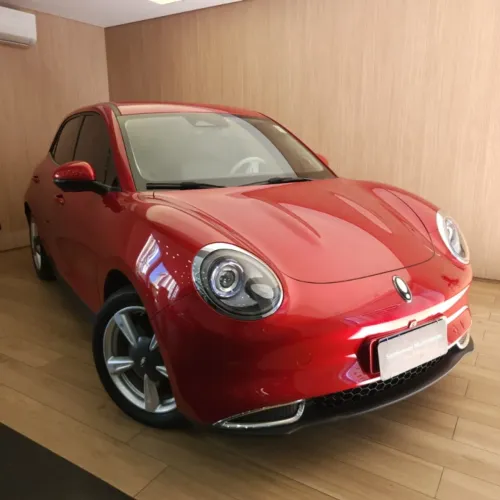 GWM Ora 03 Skin (elétrico) 2024
