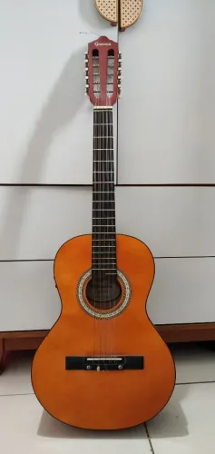 Viola elétrica 10 cordas