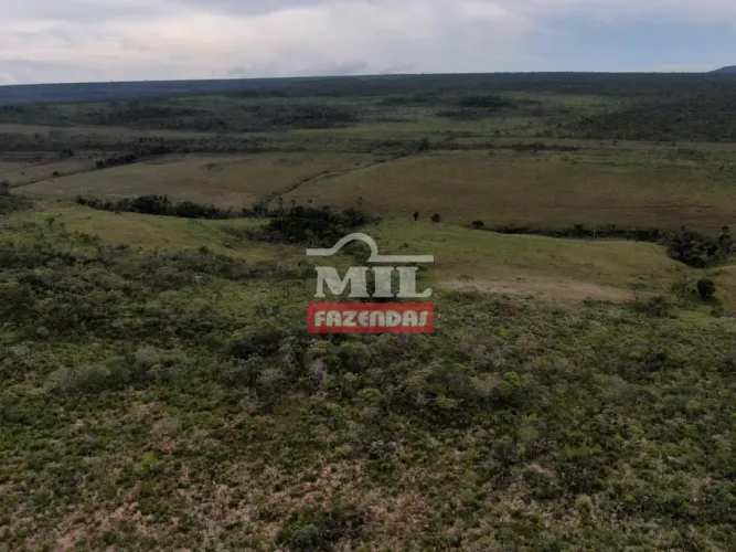 Reserva Legal 11.98 alqueires ( 58,03 hectares) Cavalcante-GO