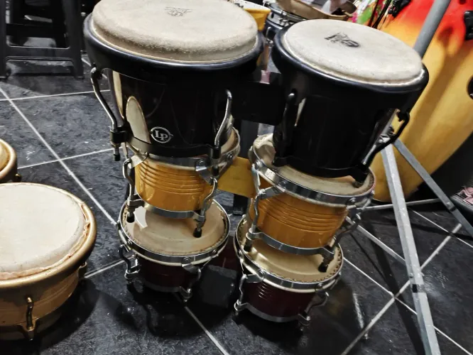 Bongo 