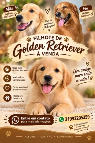 Golden Retrivier