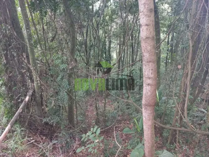 Lotes em Condomínio