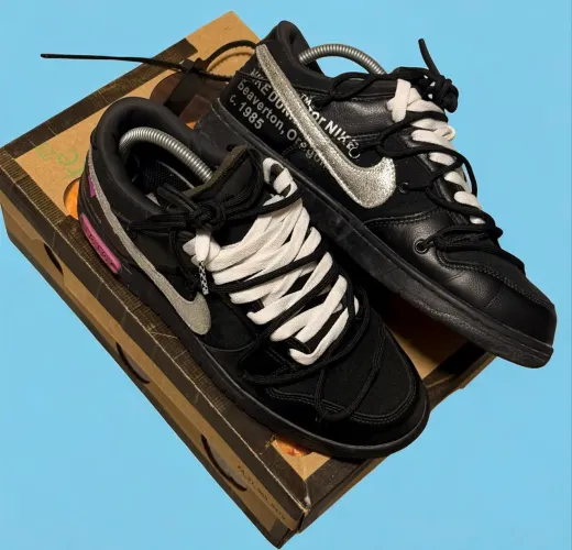 Nike dunk off white lot 50