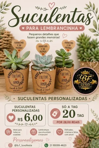 Suculentas personalizadas