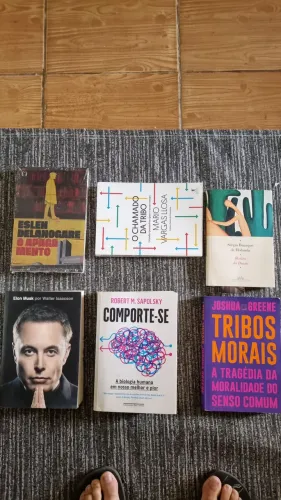 Livros em Estado excelente - Biografias e Romances
