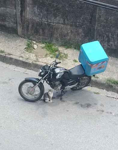 Bau Reforçado