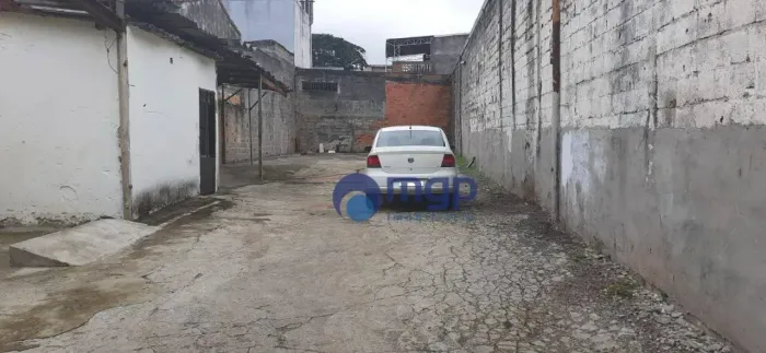 Terreno, 315 m² - venda ou aluguel - Vila Gustavo - São Paulo/SP