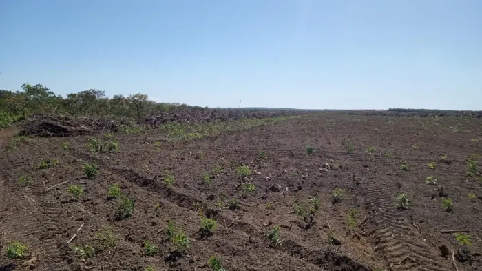 Fazenda à Venda Santa Rita do Tocantins/TO