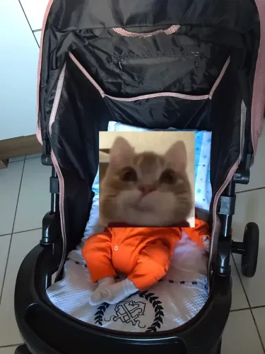 Carrinho de Bebê 
