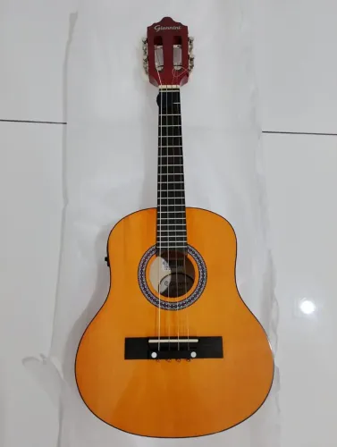 Cavaquinho gianini cs14 novo