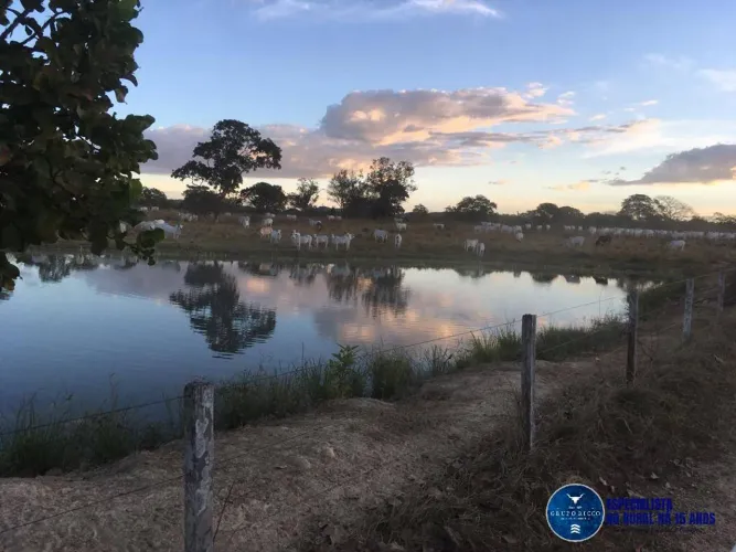 Fazenda de 142 Alqueires à Venda em Fazenda Nova Próxima ao Rio Claro