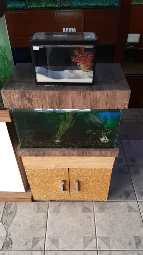 Aquário com Móvel 300,00
