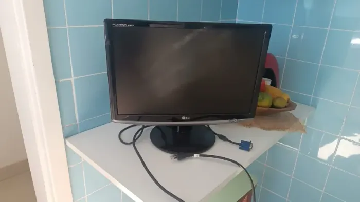 Monitor LG 19'' FLATRON W1952TQ VGA - excelente estado