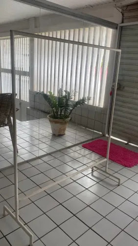 Arara pequena 