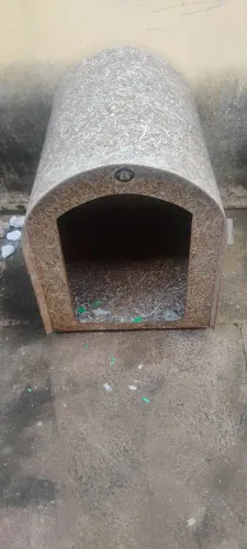 Casinha para cachorro porte médio n 6