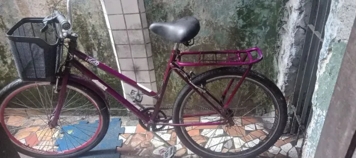 Bicicleta poti folha aero raiação inox 