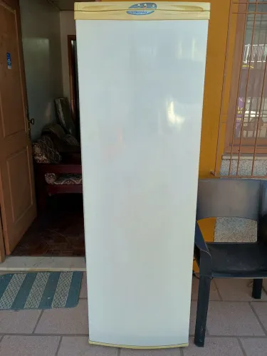 Freezer vertical Electrolux F250, com função Fast Freezing, em 6 vezes sem juros!