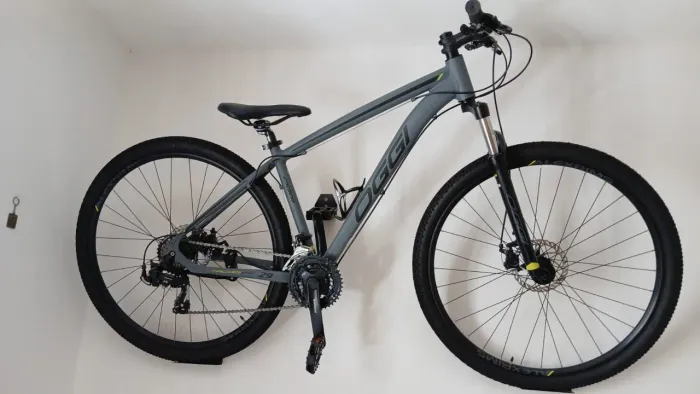 Bicicleta Oggi Aro 29