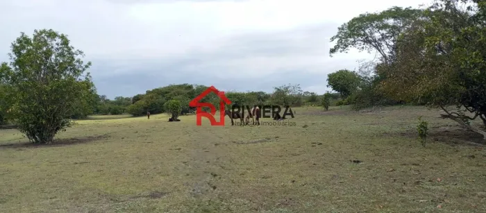 Excelente oportunidade de investimento: Área à venda no Centro de Boa Vista do Gurupi-MA