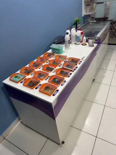 Balcão açaíteria sorveteria