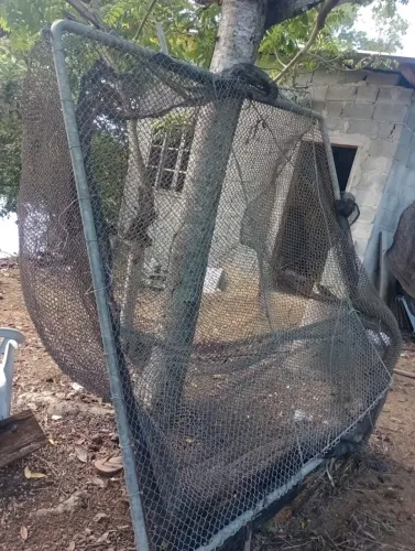 Taque rede para criação de peixe