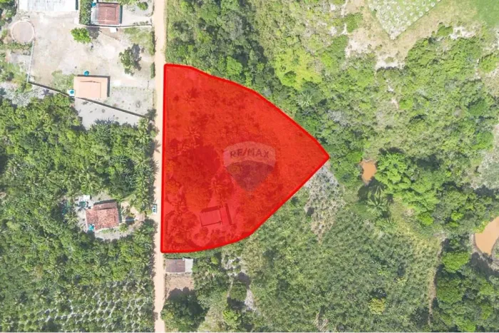 Sitio 6.500m² no Canta Galo em Santo Antônio de Jesus - BA