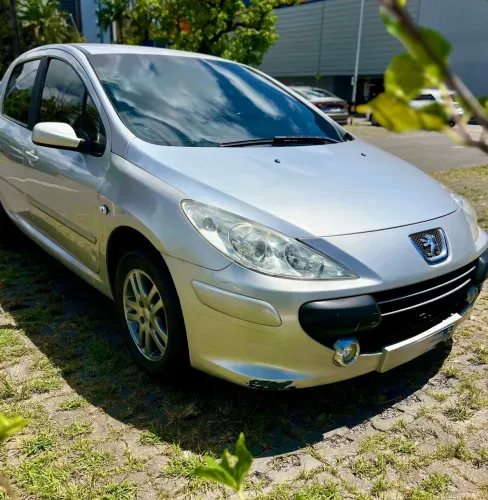 Peugeot 307 Soleil/ Presence 1.6/1.6 Flex 16V 5P 2011