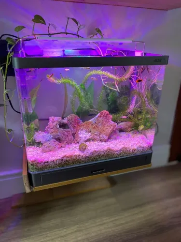 Aquário 30L Vazio