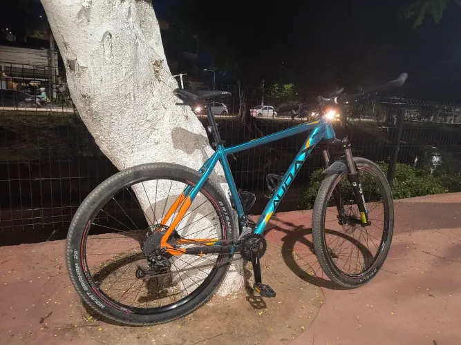 Bike audax adx 100