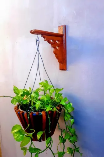 VASO ? PARA PLANTAS COM MÃO FRANCESA 