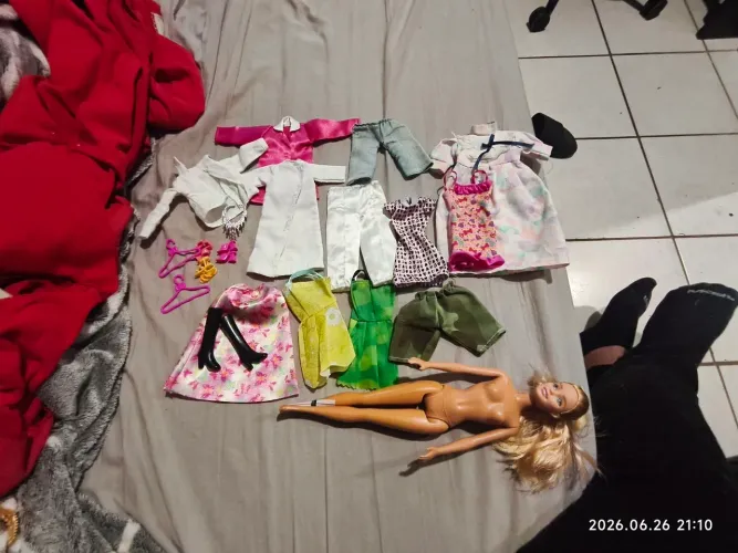 Lote Barbie