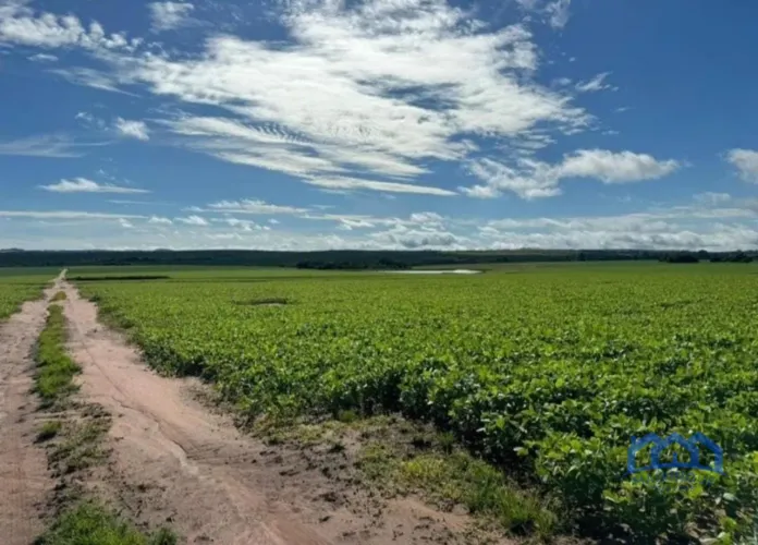 Sítio/Fazenda à Venda, 240 alqueires por R$ 60.000.000 Cód. ch2132