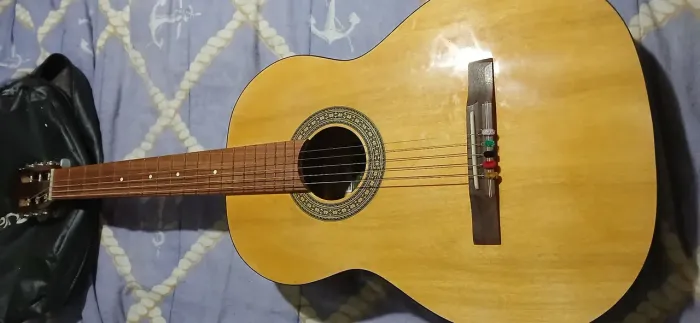 Violão Gianini
